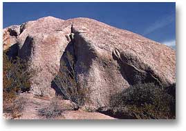 Vulvaform petroglyphs 